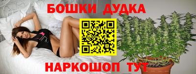 гашиш Будённовск
