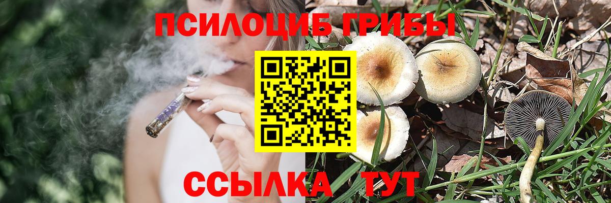 Псилоцибиновые грибы Magic Shrooms  Вход с VPN  Саяногорск 